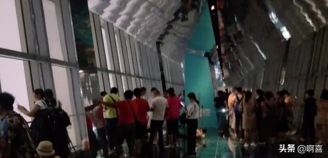 上海环球金融中心观光天阁好玩不?