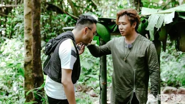 《野生厨房》中汪涵表现耐人寻味，有人说汪涵为何不搭理欧弟？