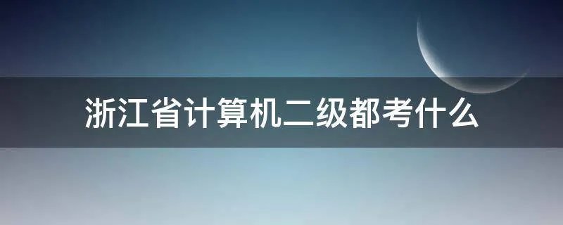 浙江省计算机二级都考什么