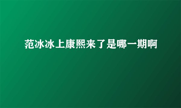 范冰冰上康熙来了是哪一期啊