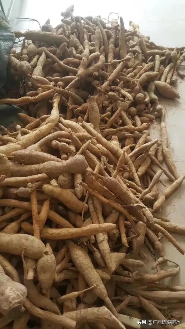 适合南方种植的懒人药材有哪些？