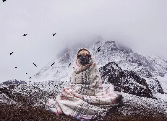 今年冬天会很冷吗2020到2021 这个冬天会是最冷得一年吗