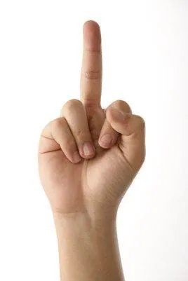 英国歌星在世界杯开幕式上为何竖中指？