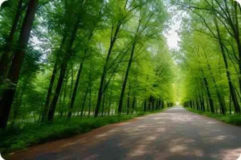 远东韵律详细资料大全