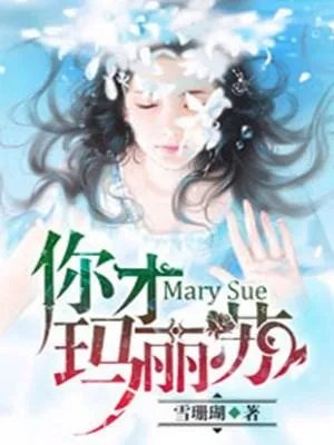 小说《你才玛丽苏》的男主叫什么？