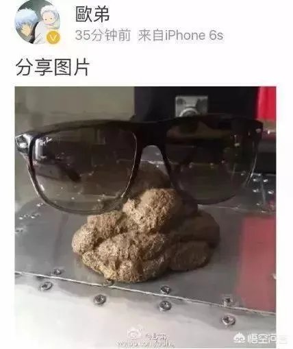 《野生厨房》中汪涵表现耐人寻味，有人说汪涵为何不搭理欧弟？