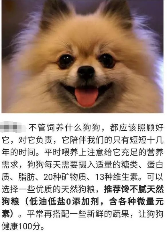 狗狗泪痕怎么解决?