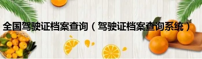 全国驾驶证档案查询（驾驶证档案查询系统）