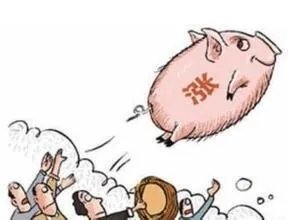 猪价跌幅这么大，养殖户亏损严重，国家会出手吗？