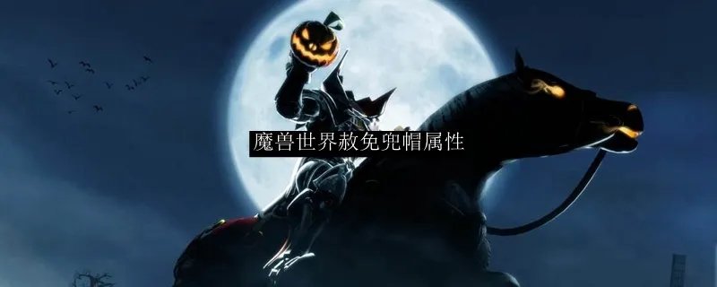 魔兽世界赦免兜帽属性