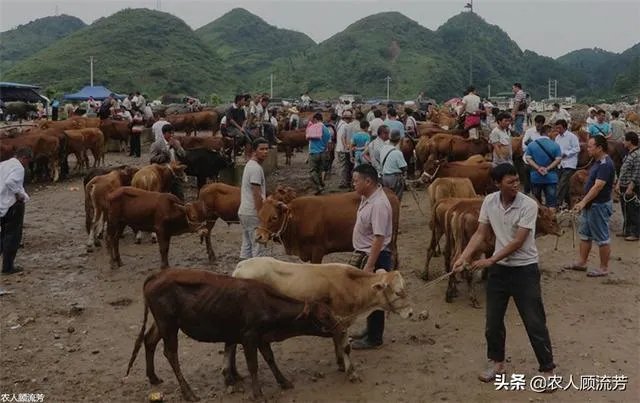 你认为中央电视台的《致富经》能让人致富吗？