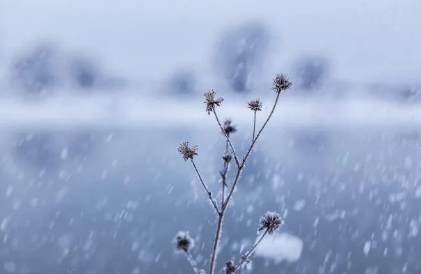 今年冬天会很冷吗2020到2021 这个冬天会是最冷得一年吗