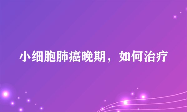 小细胞肺癌晚期，如何治疗