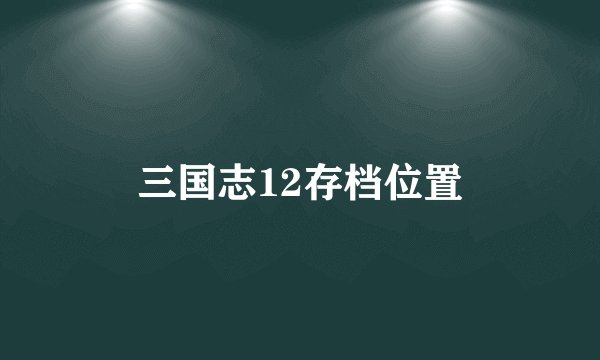 三国志12存档位置