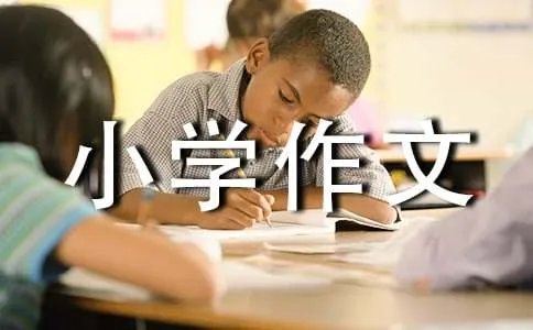 小学作文练习题