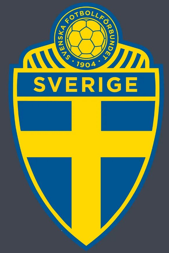 瑞典打进韩国球门的是谁?