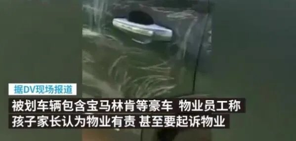 4小孩划花小区40多台车 事件后续来了