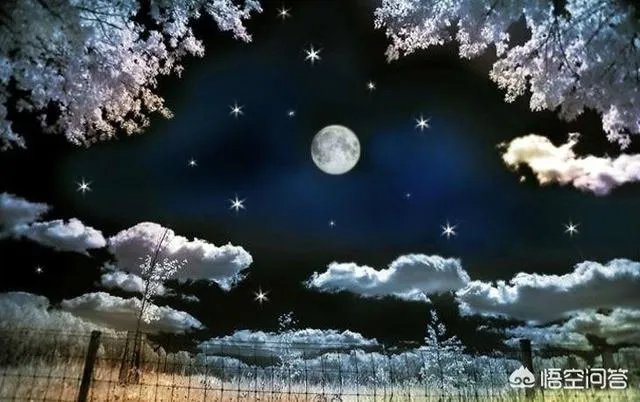 制作GIF动图，哪些软件简单易操作？