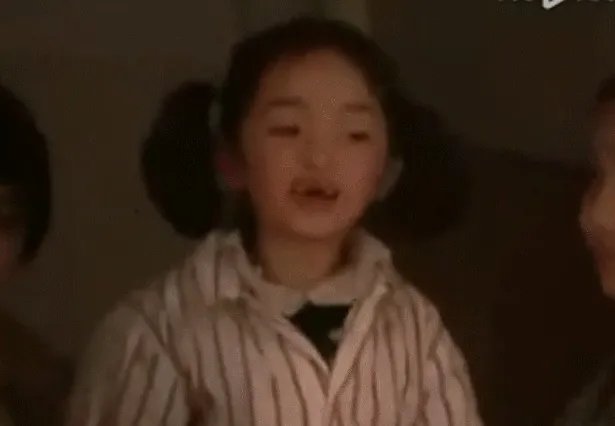 娱乐圈有哪些本来就长得很好看却还整容的明星？