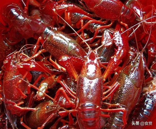 怎样才能吃到最优质的小龙虾?