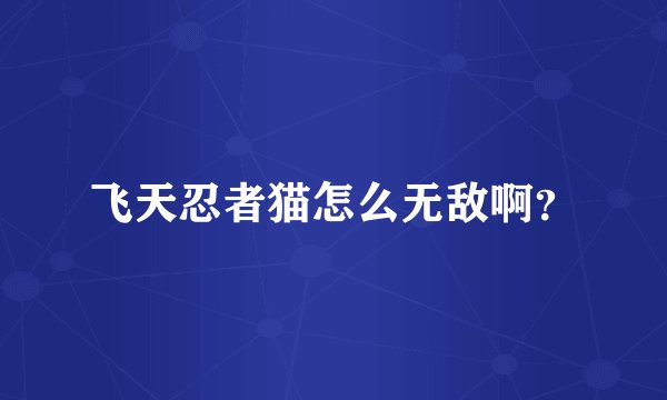 飞天忍者猫怎么无敌啊？