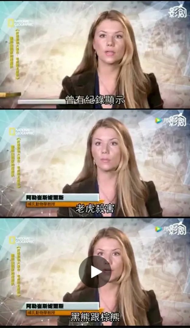 老虎和北极熊,谁更厉害?