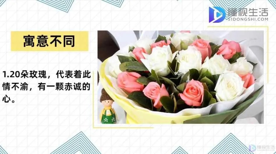 20朵玫瑰代表什么花语