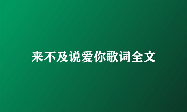 来不及说爱你歌词全文
