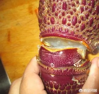 清蒸澳洲龙虾的做法？