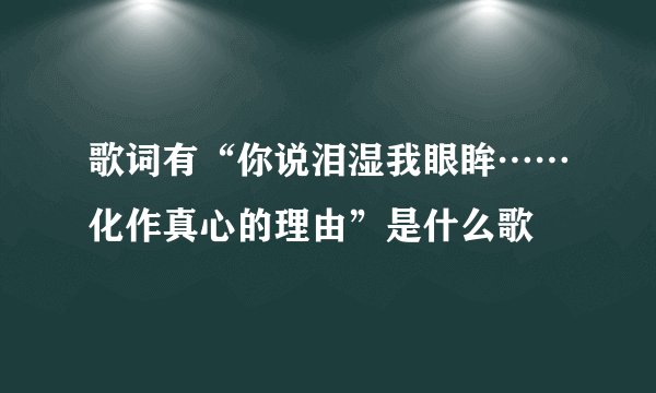 歌词有“你说泪湿我眼眸……化作真心的理由”是什么歌
