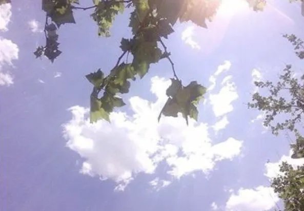 每年的几月几号入伏？