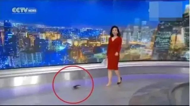 主持节目时高跟鞋掉了怎么办？