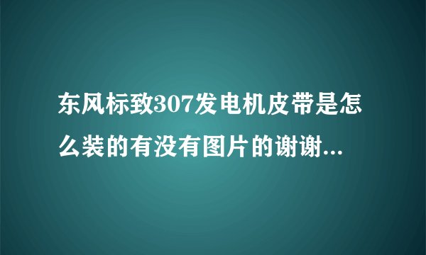 东风标致307发电机皮带是怎么装的有没有图片的谢谢是1.6的发动机