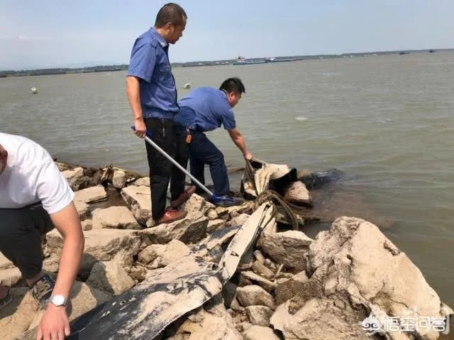 前几天出现的“三峡水怪”是什么，会是未知的生物吗？