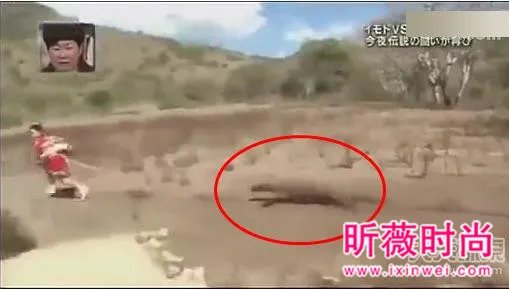 女子勾引巨蜥 场面让人目瞪口呆(组图)