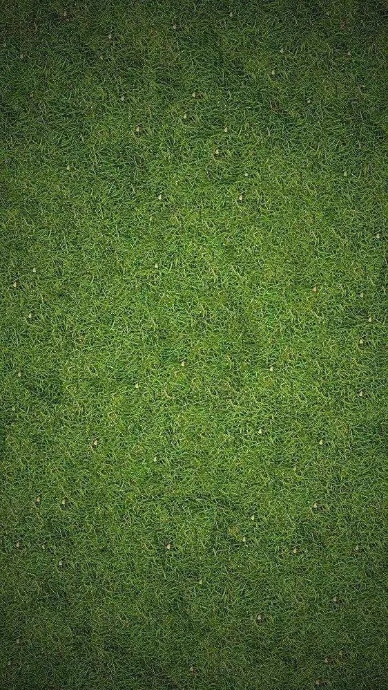 《微信》状态养宠物设置方法