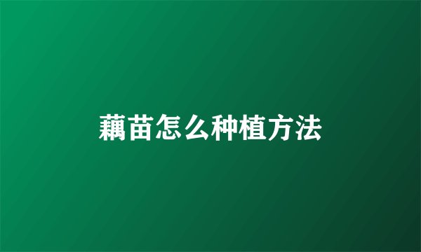 藕苗怎么种植方法