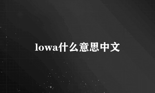 lowa什么意思中文