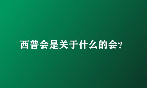 西普会是关于什么的会？