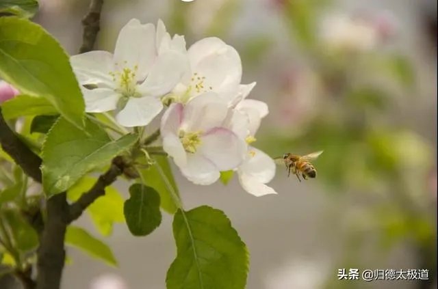 摄影是艺术吗？