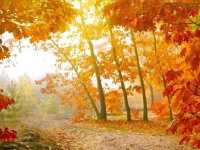 朋友圈秋天唯美句子