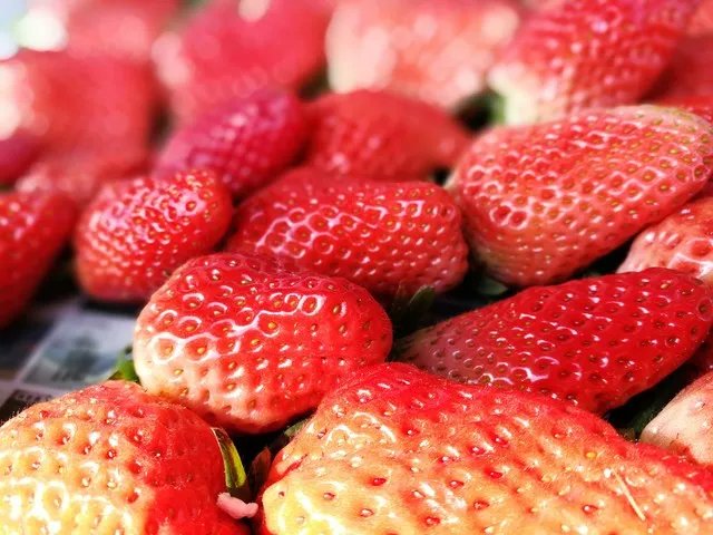 荣耀V9评测:你想要的