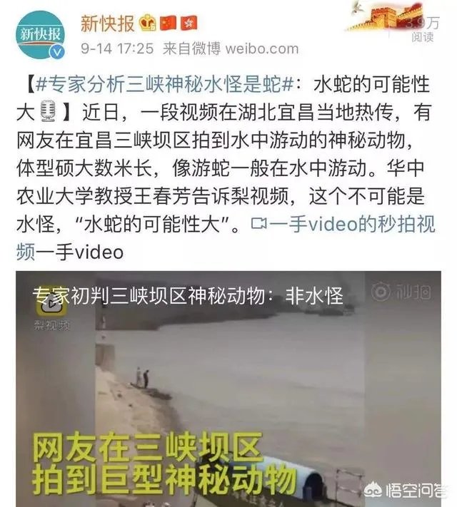前几天出现的“三峡水怪”是什么，会是未知的生物吗？