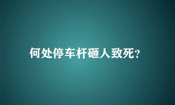 何处停车杆砸人致死？