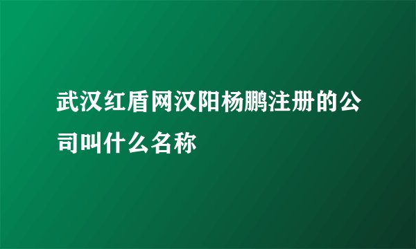 武汉红盾网汉阳杨鹏注册的公司叫什么名称