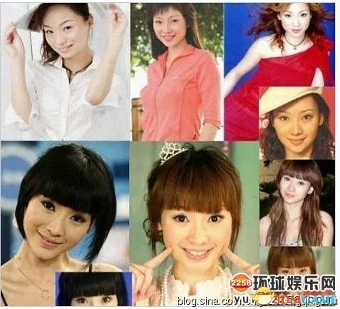 柳岩公开承认整过容打过瘦脸针 因影响做表情弃用