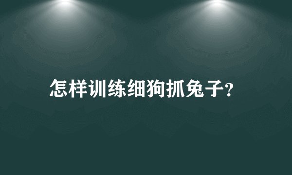 怎样训练细狗抓兔子？
