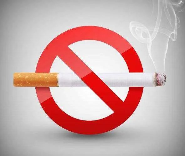 领导每天在办公室做我