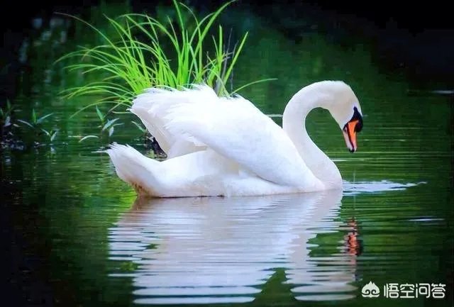 和老婆吵架，哄她她不理，真的不理她又说不关心她，该怎么办？