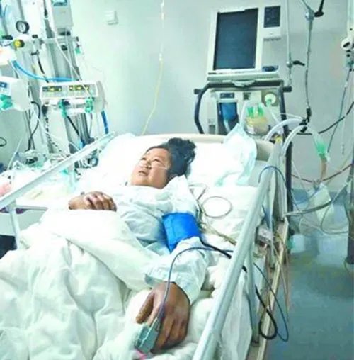 农妇遭马蜂蜇垂危家人正四处筹款 被大马蜂蛰了怎么处理